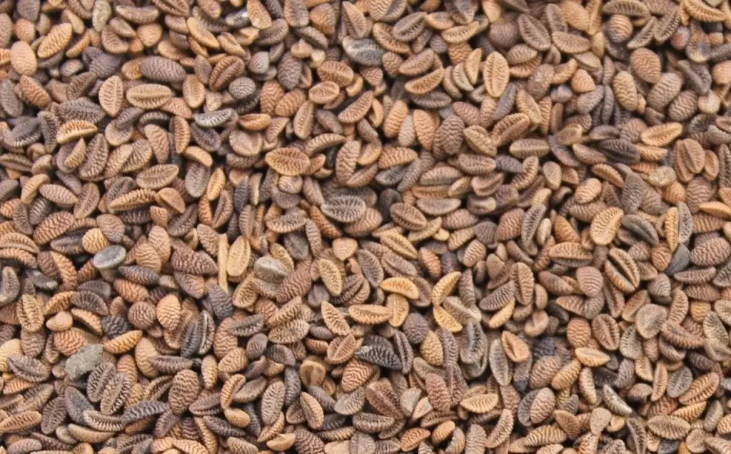 Product Carousel Image