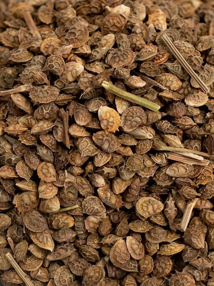 Product Carousel Image